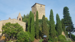 Tonda
