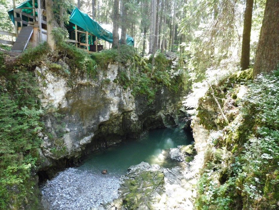 Kleinwalsertal Naturbrücke