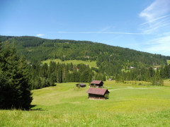 Kleinwalsertal Naturbrücke