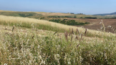 Volterra (2)