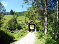 Kleinwalsertal Naturbrücke