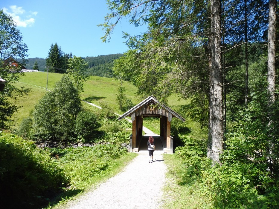 Kleinwalsertal Naturbrücke