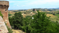 Certaldo (12)