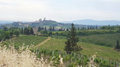 San Gimignano (2)