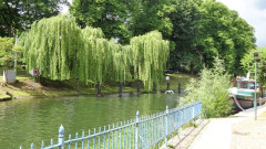 Müritz, Plau am See