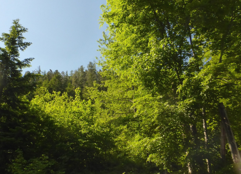 Semmering Juni 2021