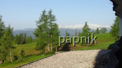 Tauplitzalm