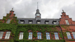 Müritz, Plau am See