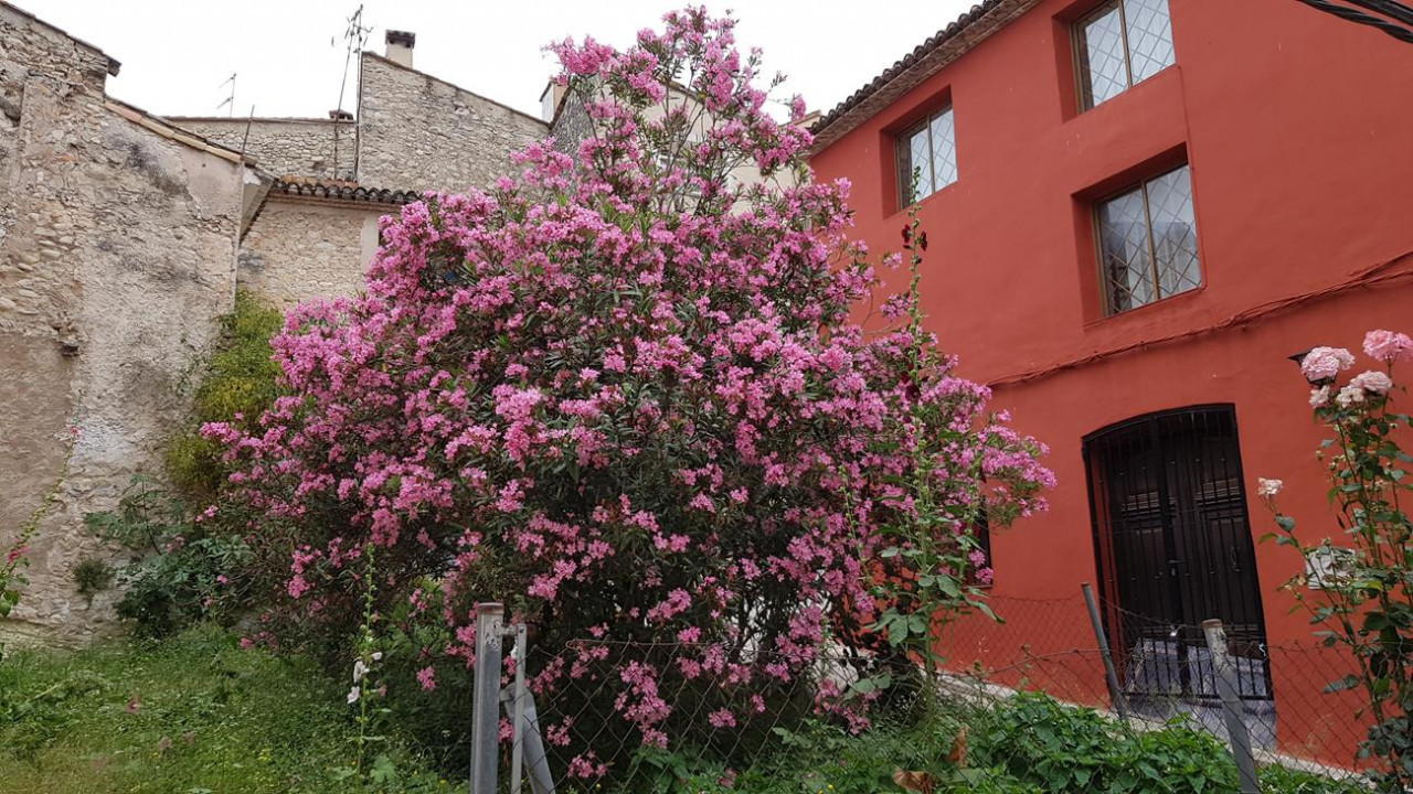 Marina Alta  06
