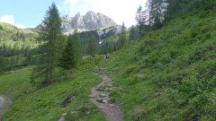 Watschiger Alm Wulfenia Juni 21 1.625 m (6)