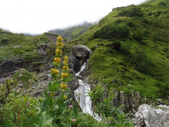 Wanderung zur Frederick Simms Hütte im Lechtal