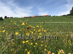 Schießbachtobel