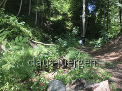 Schießbachtobel
