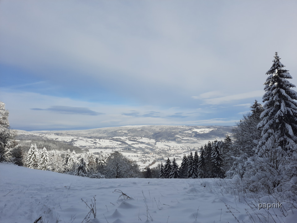 Blick auf Bischofsheim