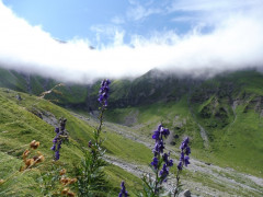 Wanderung zur Frederick Simms Hütte im Lechtal