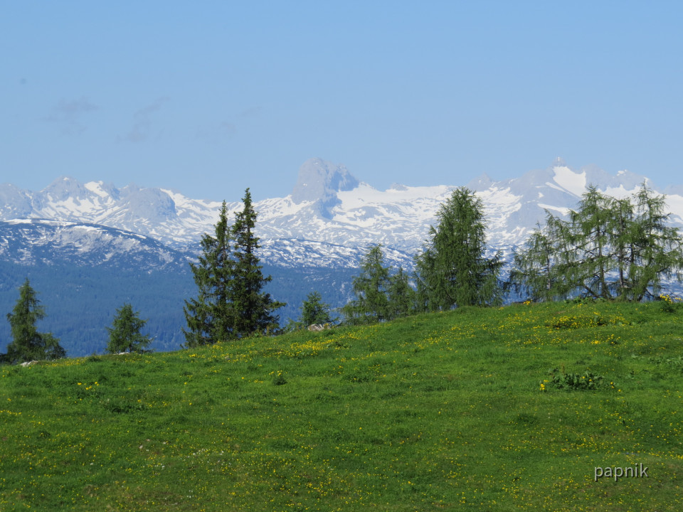 Tauplitzalm