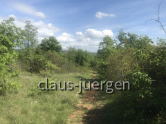 Wanderung Cingarela