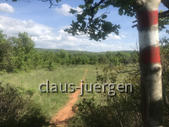 Wanderung Cingarela