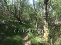Wanderung Cingarela