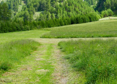 Schlinig (2)