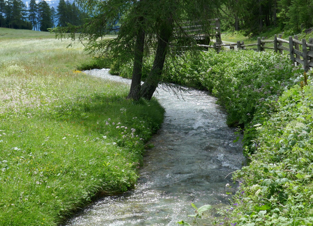 Schlinig (7)