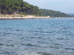 20170730_164918