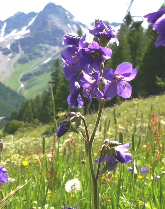 Vinschgau 2021