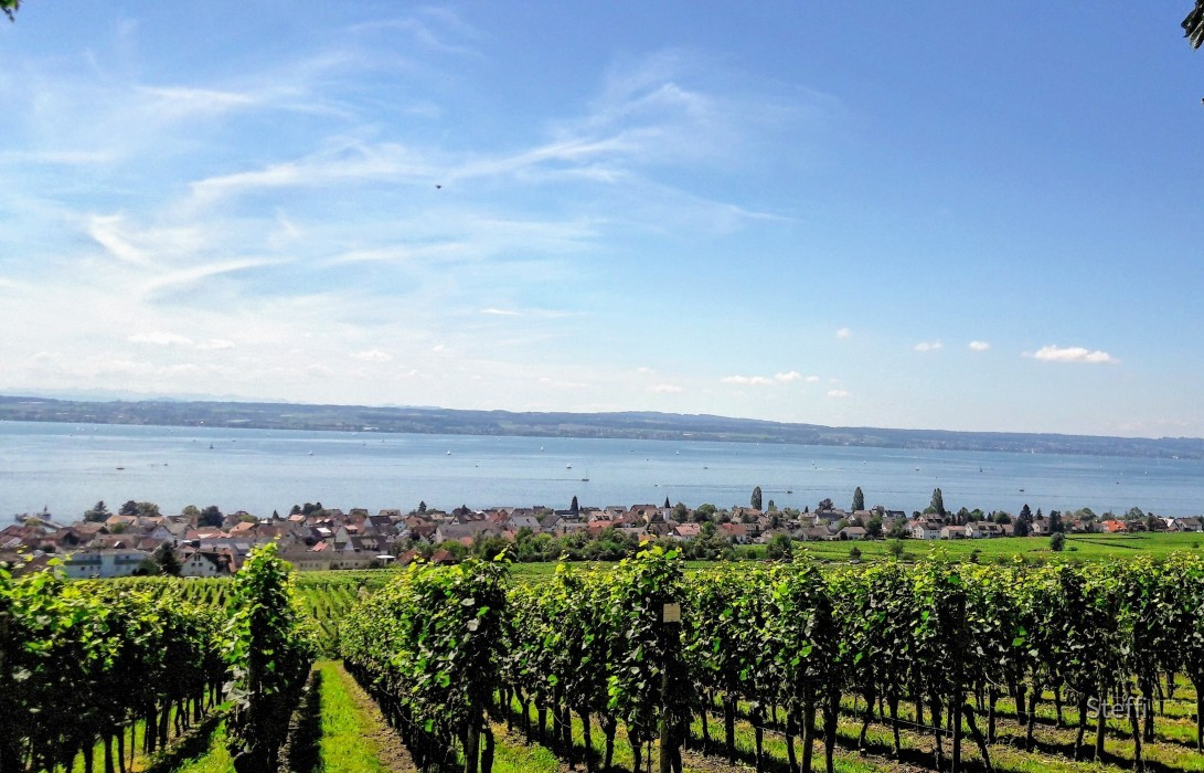 Mal wieder den Ausblick auf der Wilhelmshöhe genossen