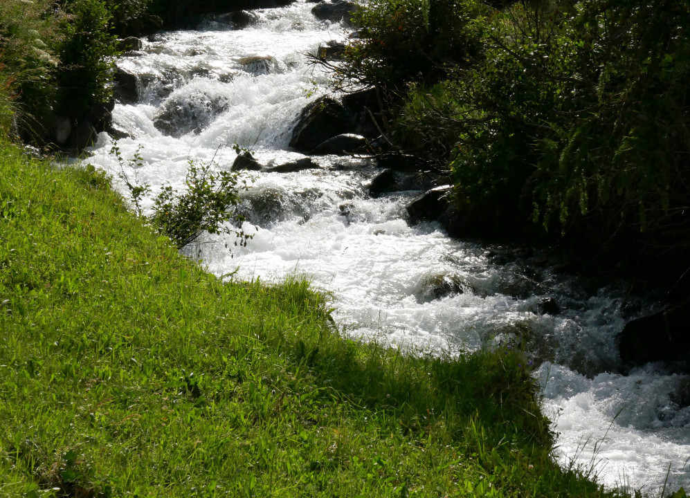 Vinschgau 2021
