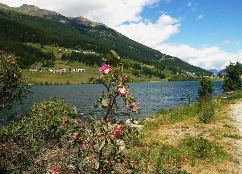 Vinschgau 2021
