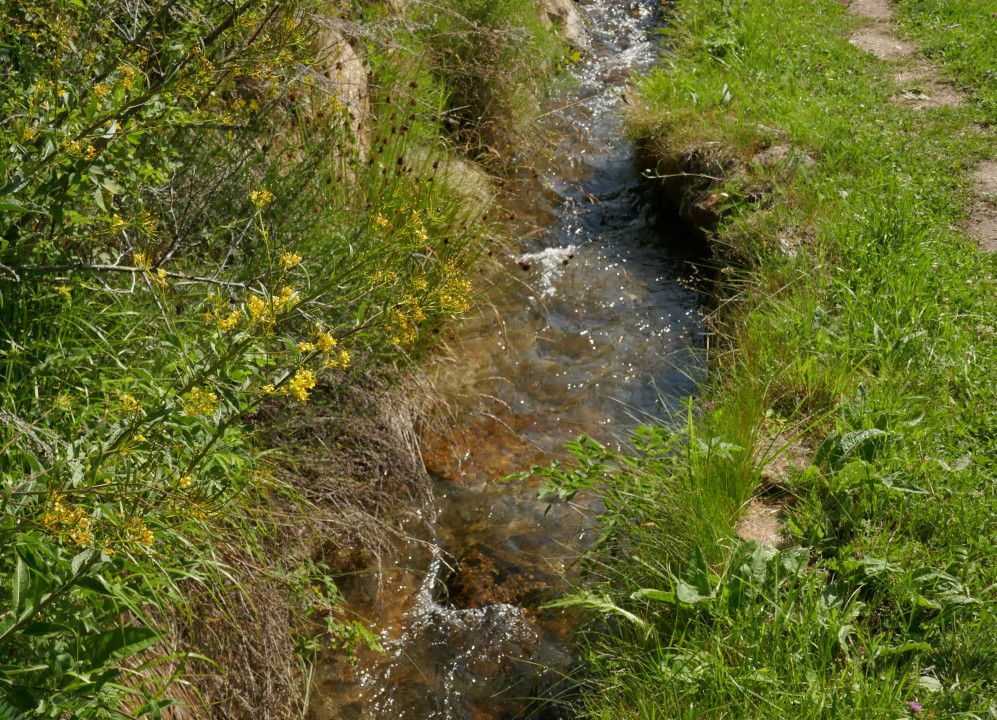 Vinschgau 2021
