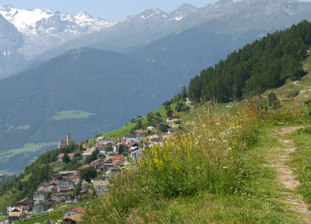 Vinschgau 2021