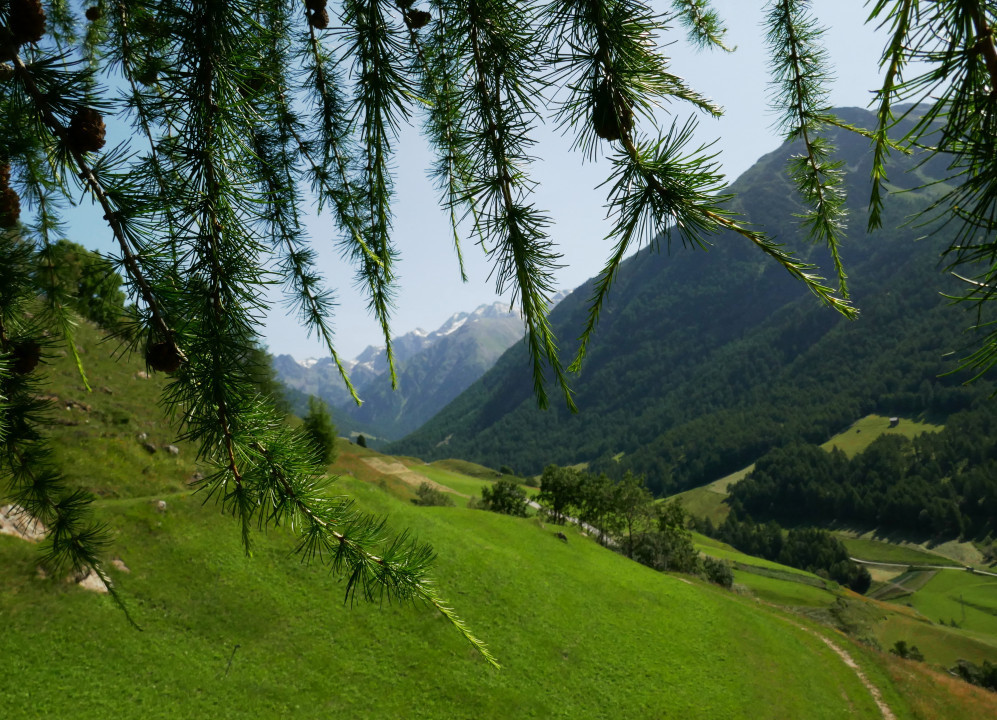 Vinschgau 2021