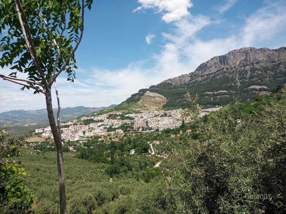 Cazorla 01
