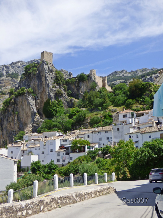 Cazorla 04
