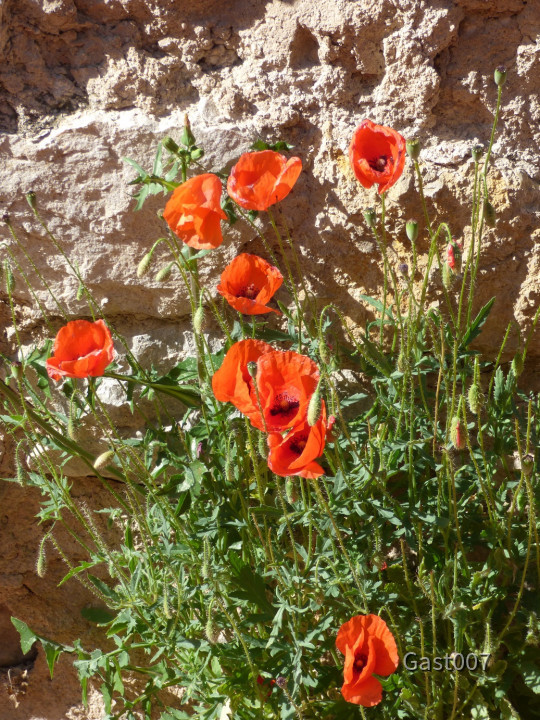 P1280179