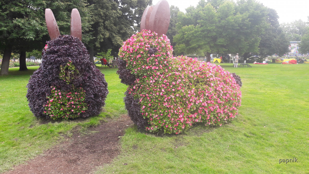 Blumentiere