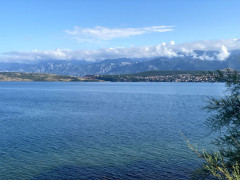 Novigrad