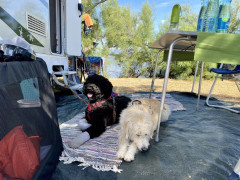 campingplatz