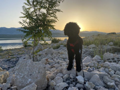 Sonnenaufgang