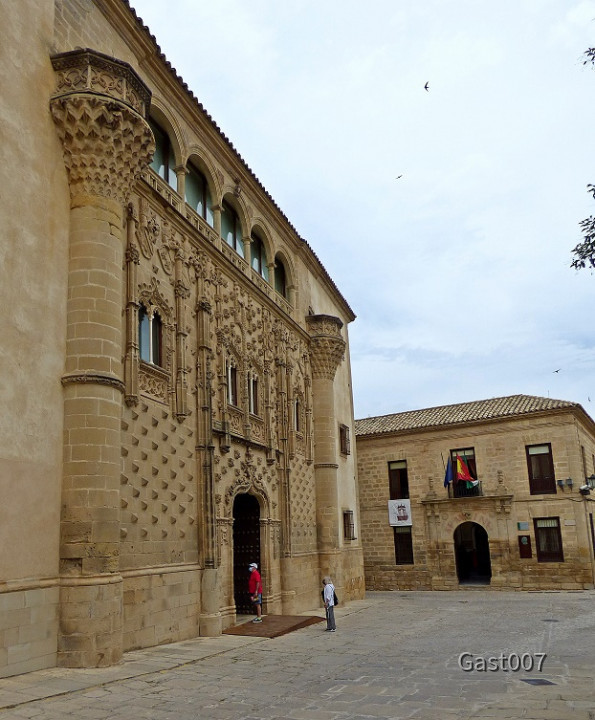 Palacio Jabalquinto 12