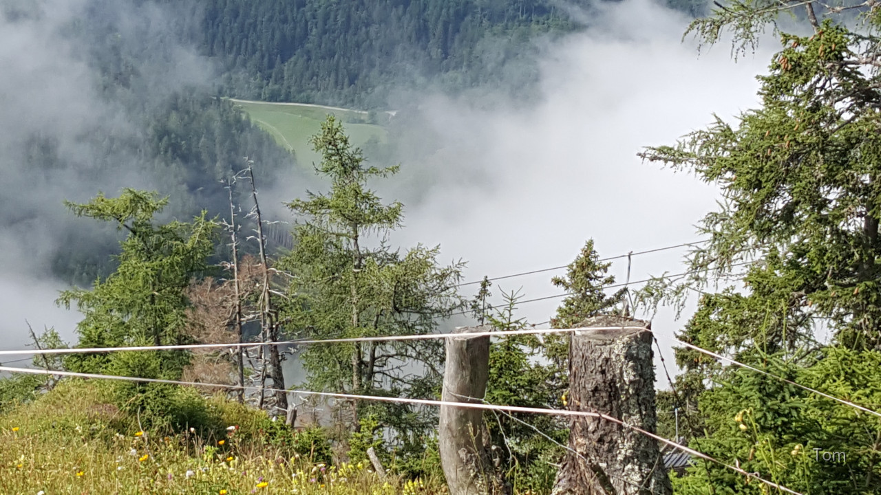 Aflenz - Bürgeralm