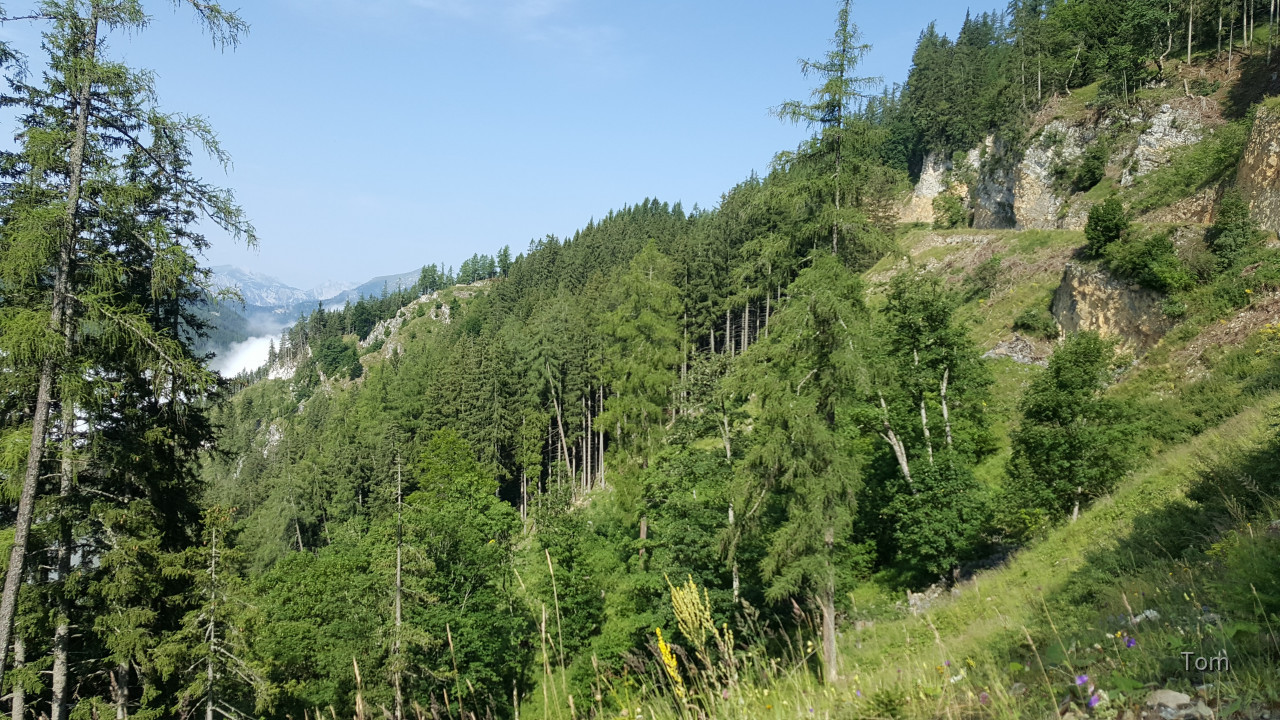 Aflenz - Bürgeralm
