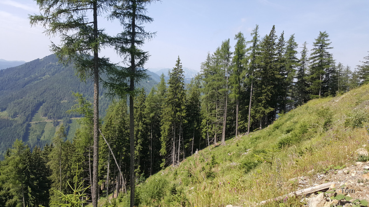Aflenz - Bürgeralm 2