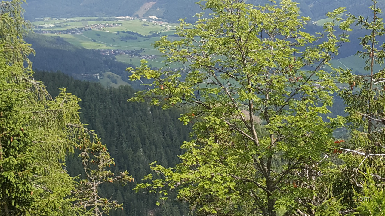 Aflenz - Bürgeralm 3