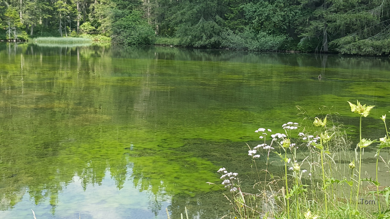 Tragöß - St. Katharein - Grüner See