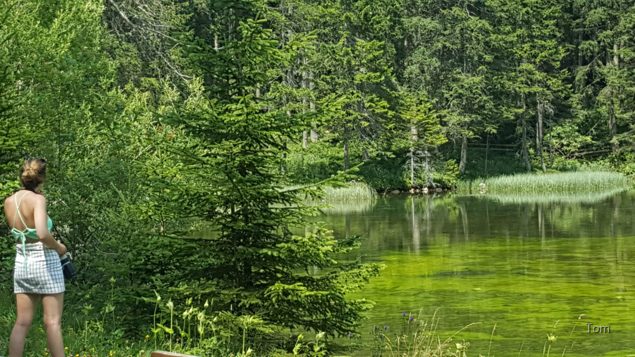 Tragöß - St. Katharein - Grüner See