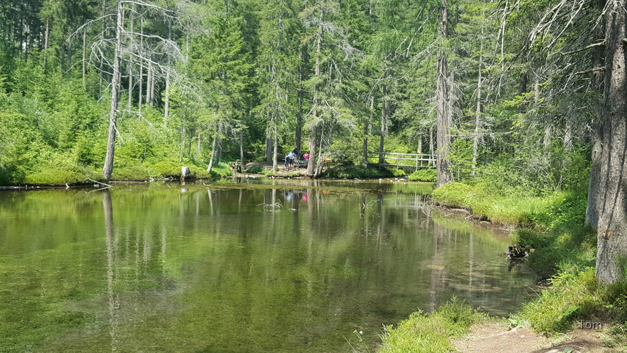 Tragöß - St. Katharein - Grüner See