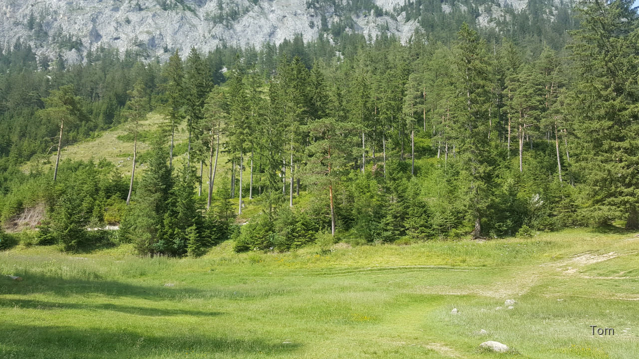 Tragöß - St. Katharein - Grüner See