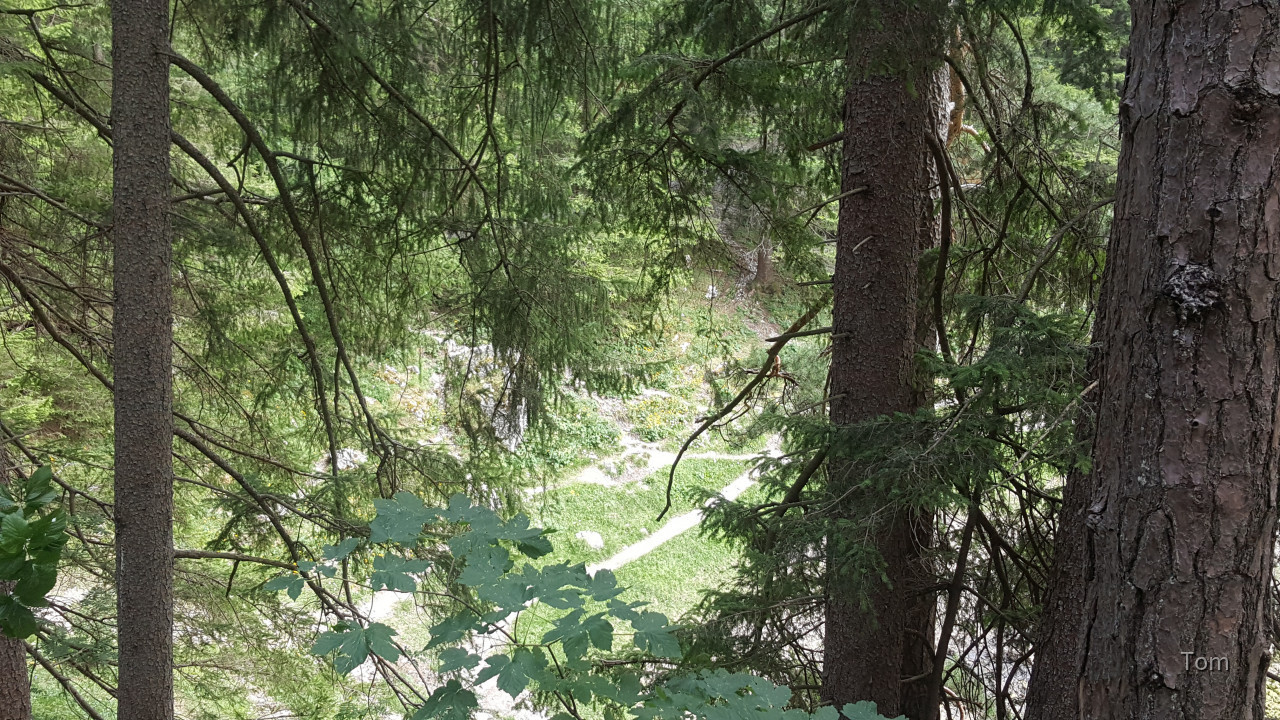 Tragöß - St. Katharein - Grüner See